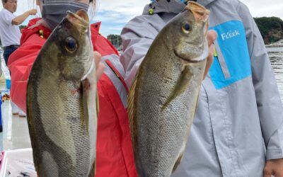 15日サビキ五目釣り