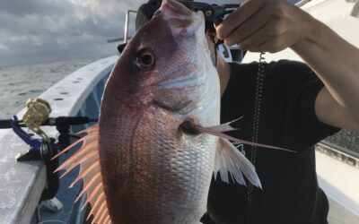22日ウタセ五目釣り