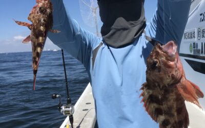 27日ウタセ五目釣り