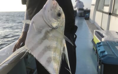 12日ウタセ五目&タチウオ釣り