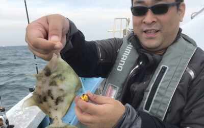 11/2カワハギ釣り