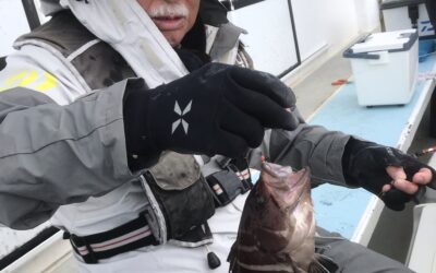 6日ウタセ五目釣り