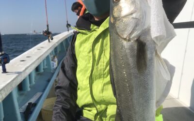 15日ウタセ五目釣り