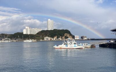 ２１日フグ釣り