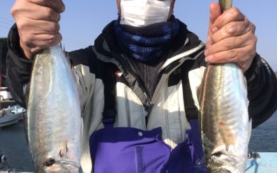 21日アジ五目釣り