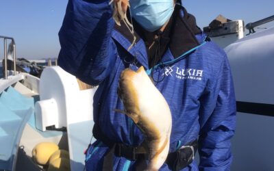 8日フグ釣り