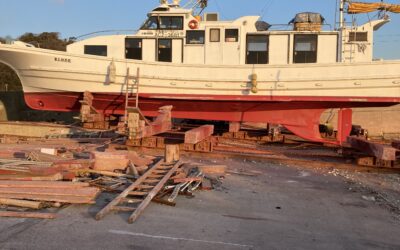 5日バーベキュー便