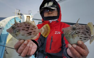 9日第5カワハギ