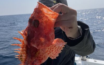 12日アカムツ&鬼カサゴ釣り