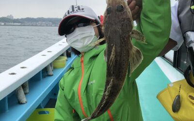 17日　日曜日　オーシャンプロジェクト🐟