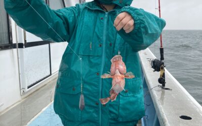 １８日月曜日体験フィッシング