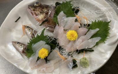 ２４日日曜日体験フィッシング