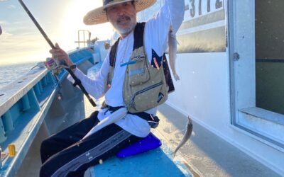 7月28日 木曜日 キス便