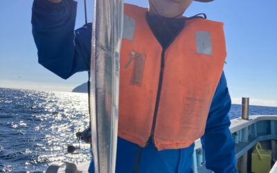 10月20日 木曜日 タチウオ船