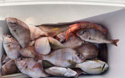 10月22日 土曜日 根魚ライト五目船