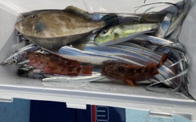 １１月１２日土曜日　タチウオ＆ライト五目リレー船