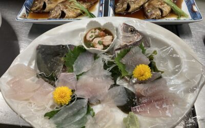 １１月１２日土曜日　午後ショート五目釣り