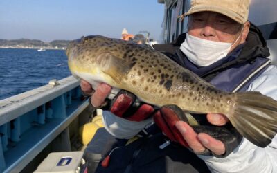 2月8日水曜日 ふぐ船