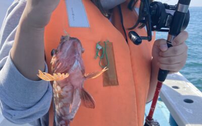 4月23日 体験フィッシング カサゴ釣り