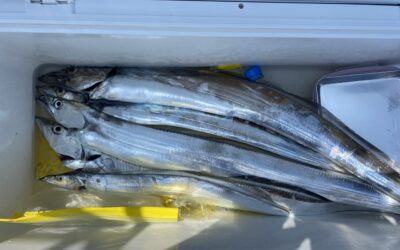 8月21日月曜日 タチウオ船