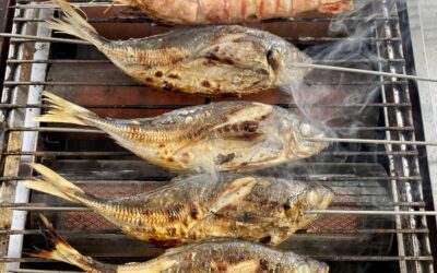 7月31日月曜日 釣りベキュー