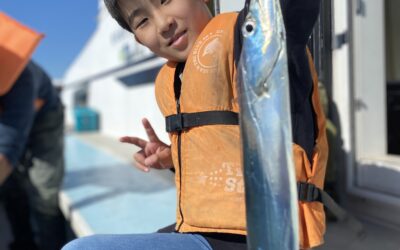 10月18日 水曜日 体験フィッシング タチウオ