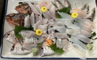 6月17日 月曜日 体験フィッシング