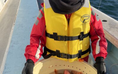 1月25日土曜日 午後便体験フィッシング