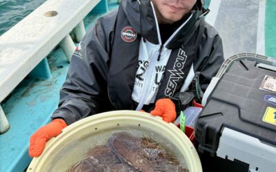 ３月２日日曜日　コウイカ船