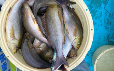 4月28日月曜日 イサキ船