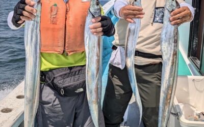 ７月３１日木曜日　タチウオ船