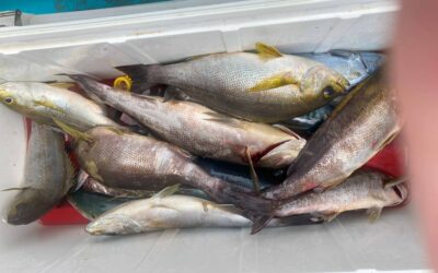 ７月２１日日曜日　イサキ船