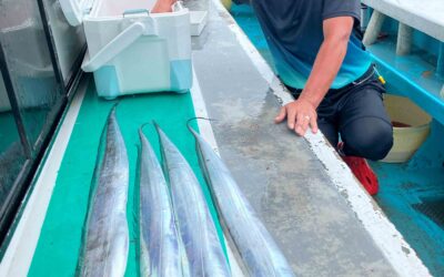 8月10日　日曜日　　タチウオ船