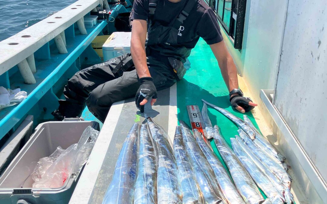 ９月１６日月曜日祝　タチウオ船