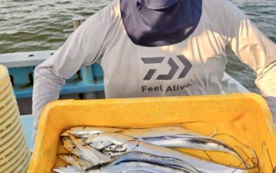 9月15日月曜日祝 ショート体験フィッシング