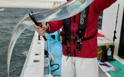 １０月２１日火曜日　　タチウオ船