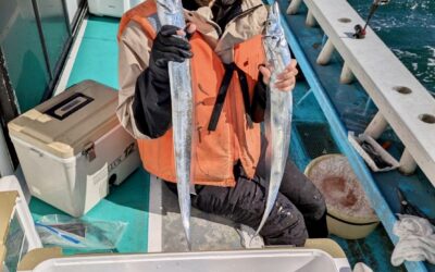 11月3日月曜日祝 タチウオ船