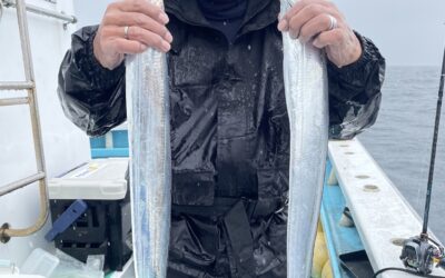 11月９日日曜日　タチウオ船