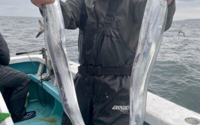 １１月１１日火曜日　　タチウオ船