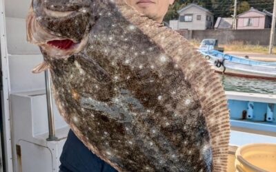 １２月１１日木曜日　アジ・ヒラメ釣行