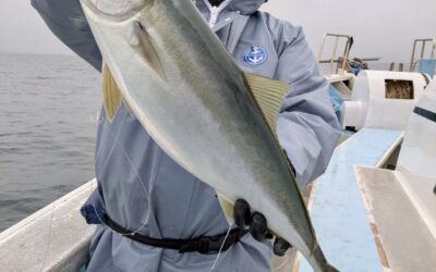 １２月２１日日曜日　　食わせ大物