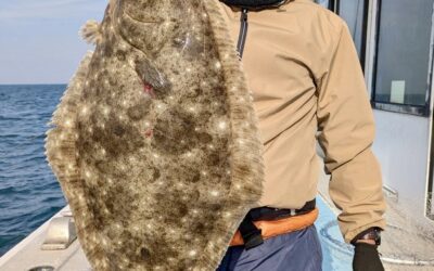 １２月３０日　火曜日　　食わせ大物