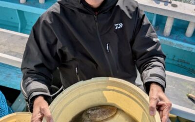 １月２７日火曜日　コウイカ船