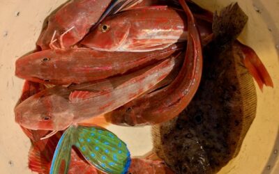 2月１４日土曜日　ルアー船