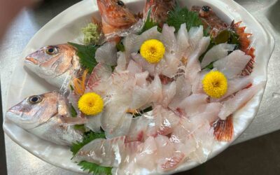 3月21日土曜日 ファミリー体験フィッシング