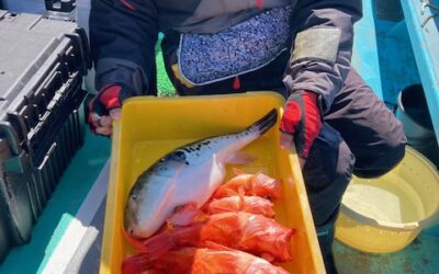3月15日日曜日 中深海 オニカサゴ船